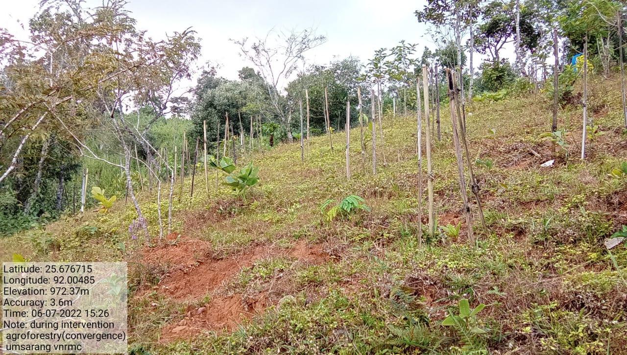 C:\Users\Lavinia Pde\Downloads\WhatsApp Image 2023-03-27 at 12.28.23.jpeg